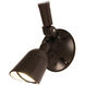 Endurance LED 6.75 inch Bronze Outdoor Wall Lighting in 5000K, WAC Limited