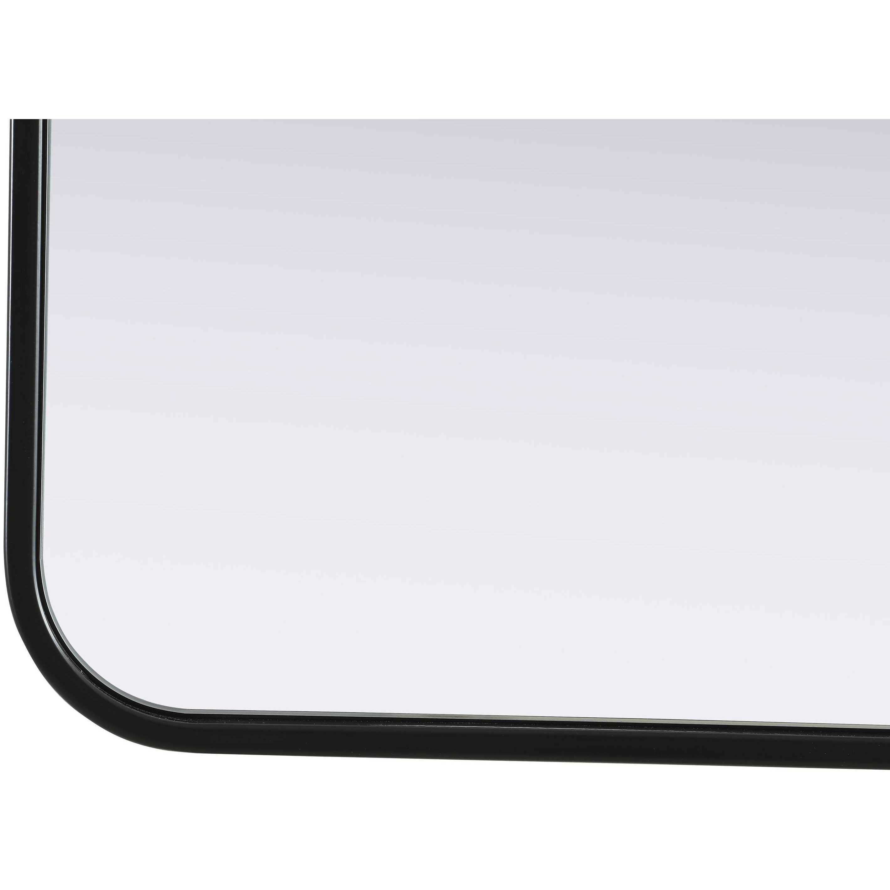 Remy 60 X 30 inch Black Mirror