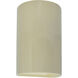 Ambiance Cylinder LED 9.5 inch Vanilla Gloss Outdoor Wall Sconce, Small