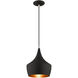 Allison 1 Light 10 inch Black Mini Pendant Ceiling Light
