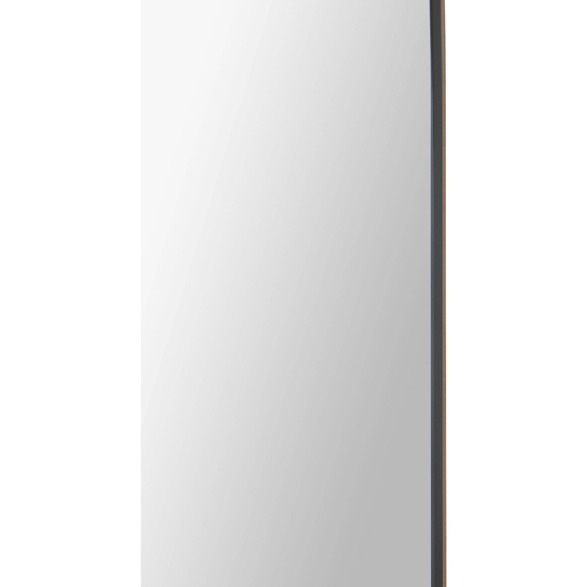 Aldrin 40 X 30 inch Clear Mirror