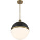 Vorey 1 Light 17.5 inch Coal And Oxidized Aged Brass Pendant Ceiling Light