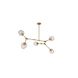 Canada 5 Light 24 inch Brass Chandelier Ceiling Light
