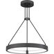 Drury LED 23.75 inch Pewter Cast Iron Pendant Ceiling Light