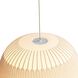 Tela Pendant Ceiling Light