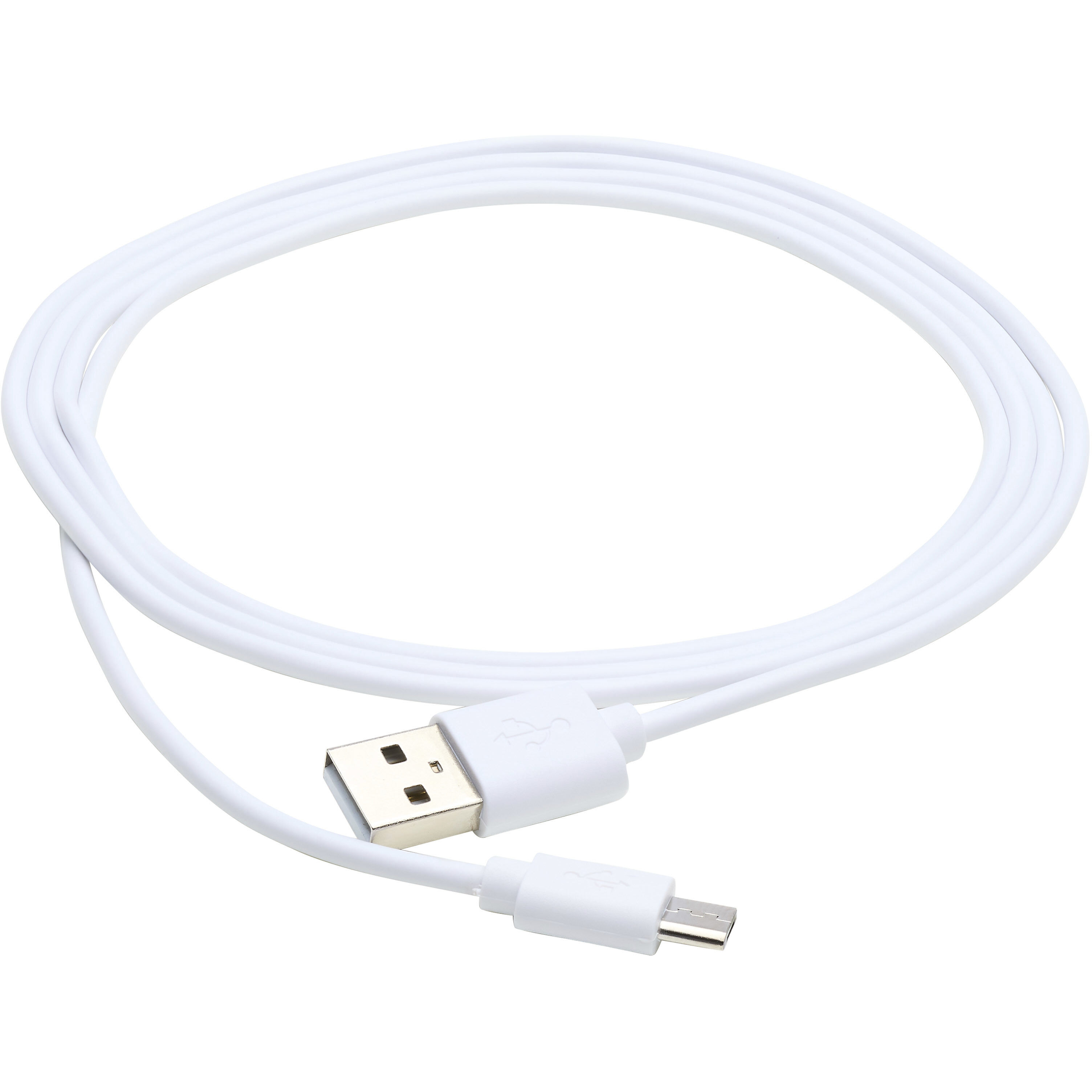 Brentwood White ADA Indoor Security Light Wall Light