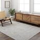 Presidential 38.98 X 24.02 inch Light Silver/Silver/Slate/Metallic - Silver Machine Woven Rug in 2 x 3.25