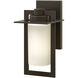 Colfax LED 12 inch Bronze Outdoor Wall Mount, Etched Opal Glass
