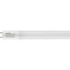 Lumos LED Medium Bi Pin 5000K LED T8