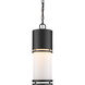 Luminata LED 5.88 inch Black Outdoor Chain Mount Ceiling Fixture