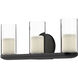 Birch LED 19 inch Black Bath Vanity Light Wall Light