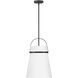 Tori 1 Light 14 inch Black Pendant Ceiling Light
