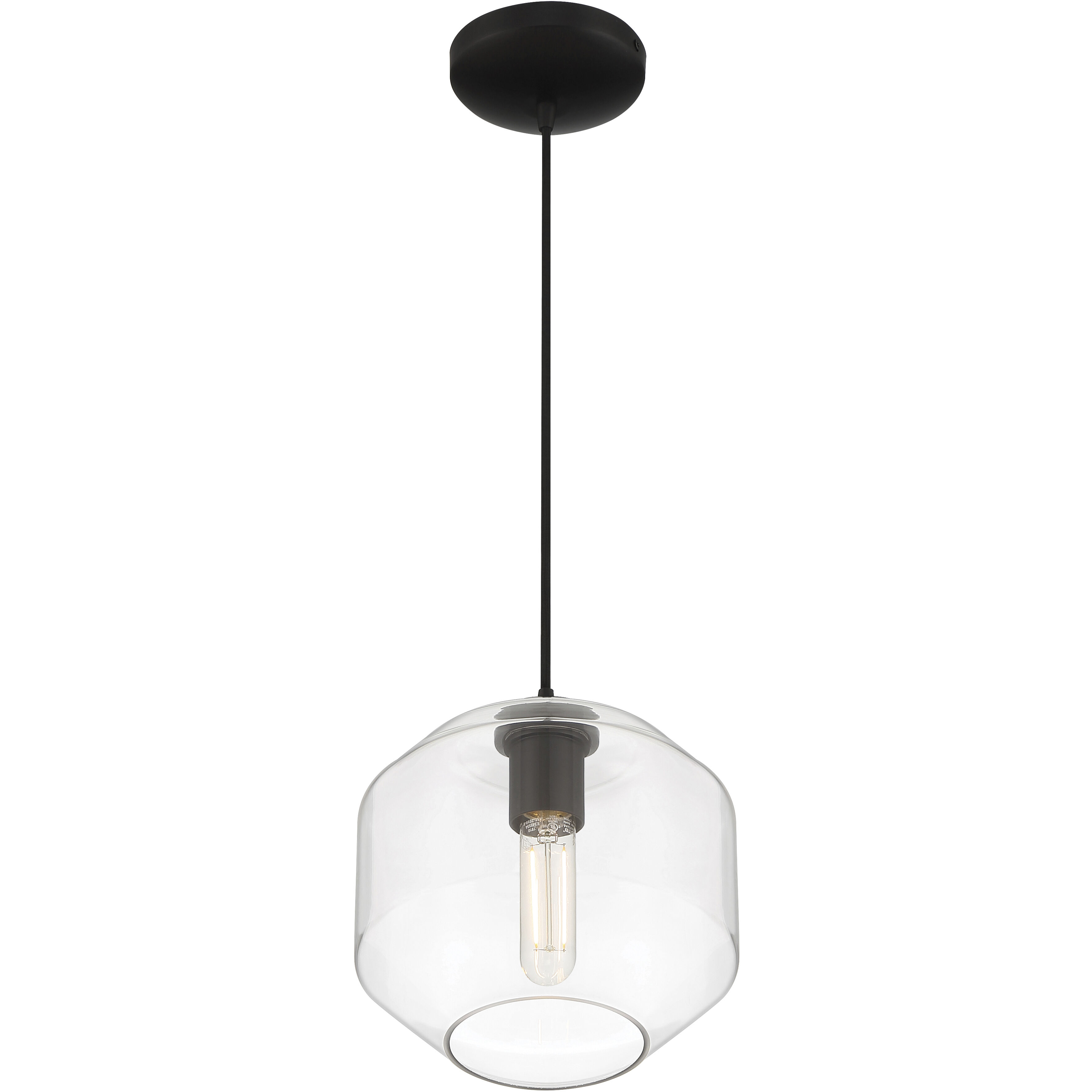 Clarity 10 inch Black Pendant Ceiling Light