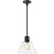 Zigrina 1 Light 11.75 inch Satin Brushed Black Pendant Ceiling Light