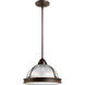 Pratt Street Prismatic 2 Light 12.75 inch Pendant
