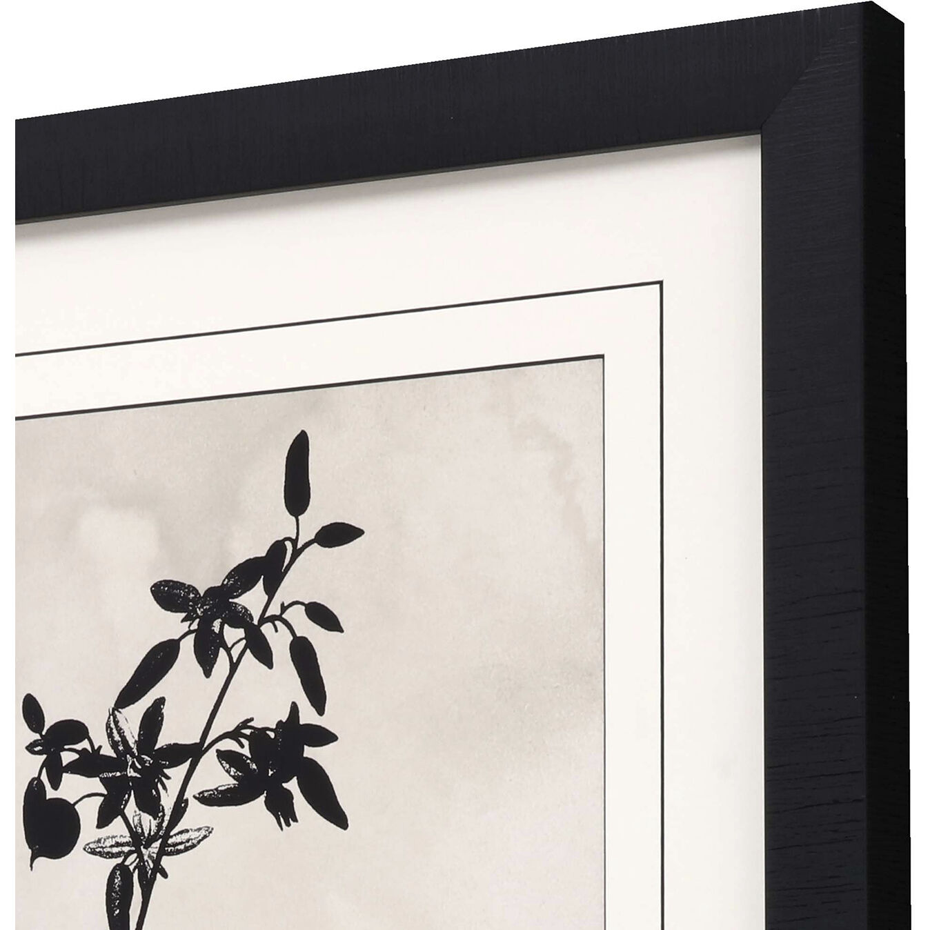 Dianella Muscari Black and Beige Framed Art