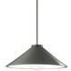 Radiance Collection 1 Light 11.75 inch Pewter Green and Brushed Nickel Pendant Ceiling Light, Form+Finish+Function