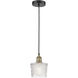 Niagra 1 Light 6.5 inch Black Antique Brass Mini Pendant Ceiling Light in Clear Glass