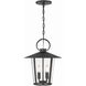 Andover 4 Light 14.00 inch Pendant