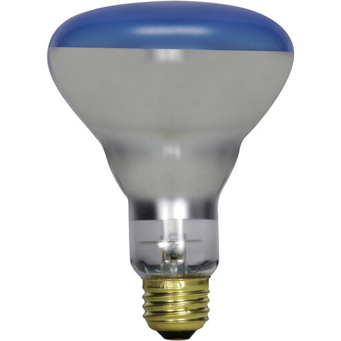 Lumos Incandescent R30 Medium E26 150 watt 120V Light Bulb