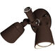 Endurance LED 12.5 inch Bronze Flood Light in 5000K
