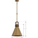 Fenric 1 Light 13.75 inch Legacy Brass and Dark Bronze Pendant Ceiling Light