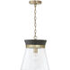 Capital Lighting Finn 1 Light 12 inch Black Stain and Matte Brass Pendant Ceiling Light 347311KR - Open Box