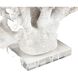 Coral 11.75 X 8.25 inch Sculpture, Set of 2