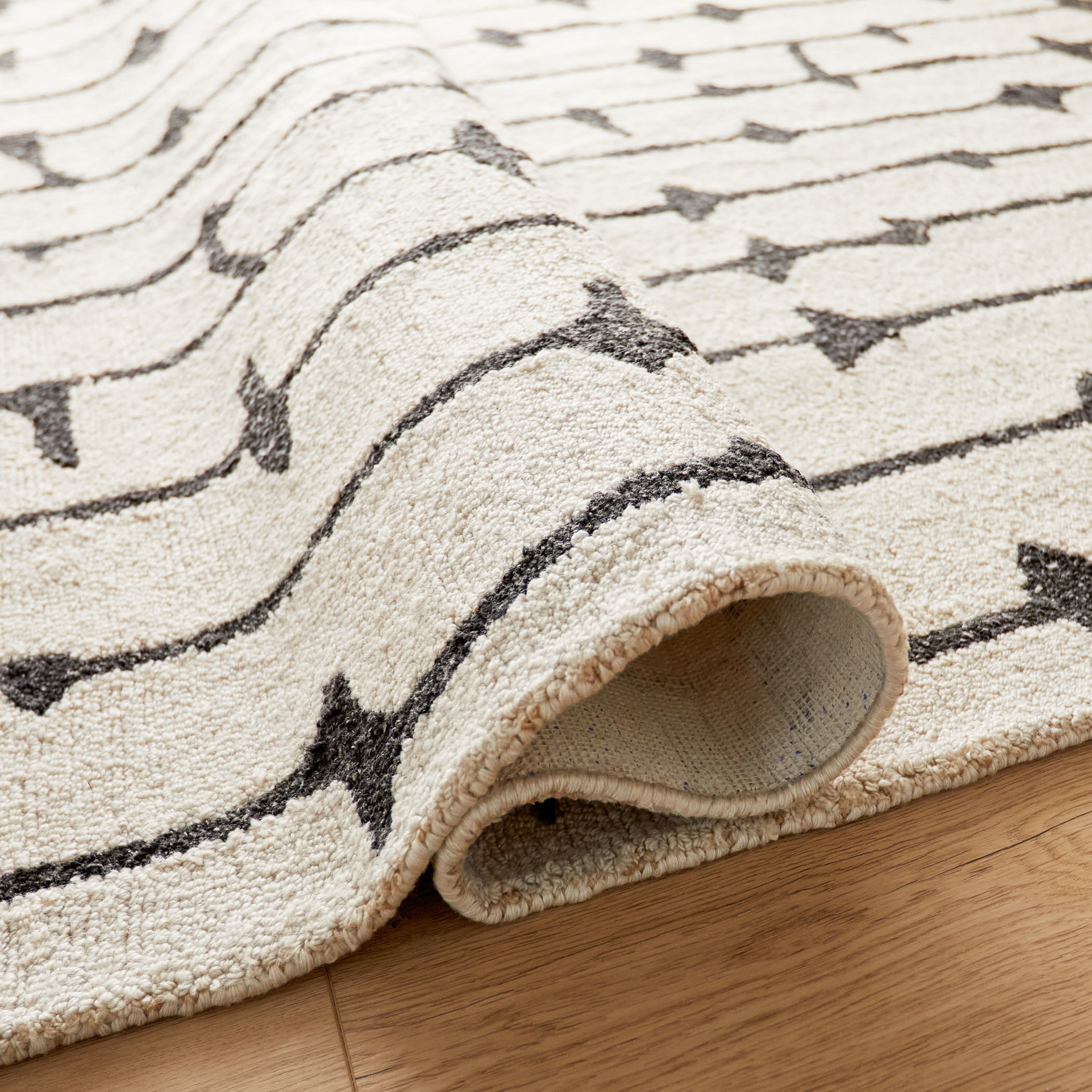 Contemporary Luxe 36 X 24 inch Black/White Rug in 2 x 3