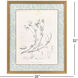 Botanical Sketch IV Gray and Beige and Neutral and Sepia Framed Art