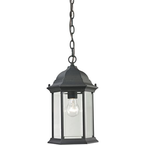 Spring Lake 1 Light 8 inch Matte Textured Black Outdoor Pendant