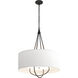 Loop 4 Light 28 inch Black and Natural Iron Pendant Ceiling Light in Black/Natural Iron, Natural Anna
