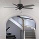 Dondra 60 inch Matte Black with Greyed Walnut/Matte Black Blades Ceiling Fan