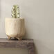 Canyon 12 X 9.5 inch Wooden Vase