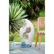 Anita White/Blue Fountain