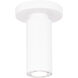 Caliber LED 2.63 inch White Flush Mount Ceiling Light, dweLED