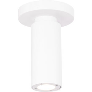 Caliber 7 Light 2.63 inch Flush Mount