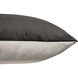 Albans 20 inch Charcoal Indoor Pillow