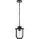 Sepviva 1 Light 7 inch Black Outdoor Pendant