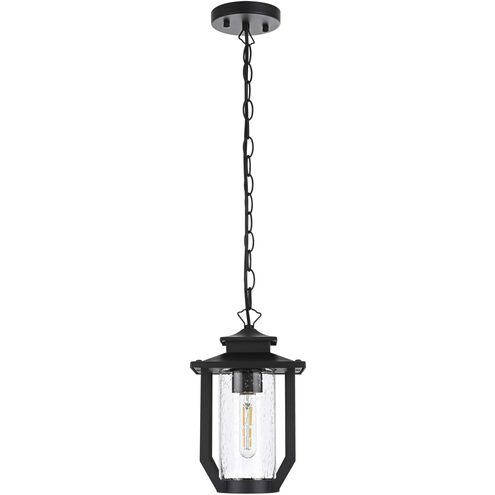 Sepviva 1 Light 7 inch Black Outdoor Pendant