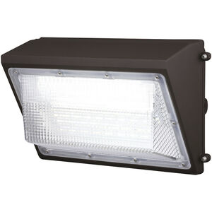 Ray LED 9.25 inch Bronze Outdoor Security Dusk to Dawn