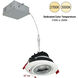 M4 Matte Powder White Round Adjustable Gimbal