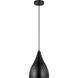 Oden 1 Light 9 inch Midnight Black Pendant Ceiling Light