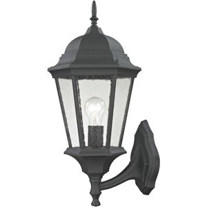 Temple Hill 1 Light 21 inch Matte Textured Black Outdoor Sconce, Large