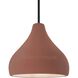Radiance 1 Light 11.5 inch Canyon Clay and Matte Black Pendant Ceiling Light