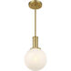 Modern 1 Light 8 inch Natural Brass Pendant Ceiling Light