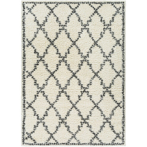 Deluxe Shag 36 X 24 inch Rugs, Rectangle