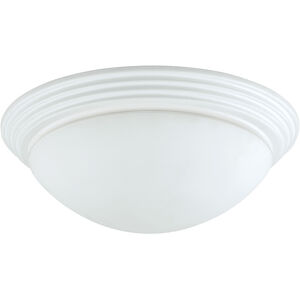 Signature 2 Light 14 inch White Flushmount Ceiling Light