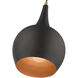 Andes 1 Light 8 inch Black with Antique Brass Accents Mini Pendant Ceiling Light
