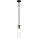 Alton 1 Light 4.75 inch Matte Black Pendant Ceiling Light